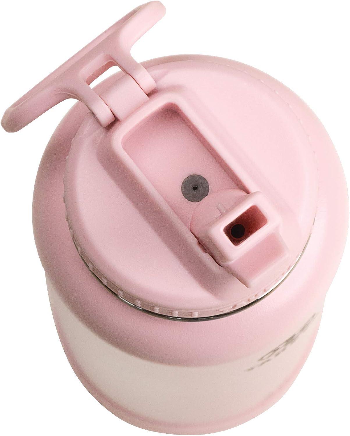 imageTakeya Actives 24 oz Water Bottle with Straw Lid Double Wall Stainless Steel Insulation Dishwasher Safe ampamp BPAFree Removable Bumper BlushBlush