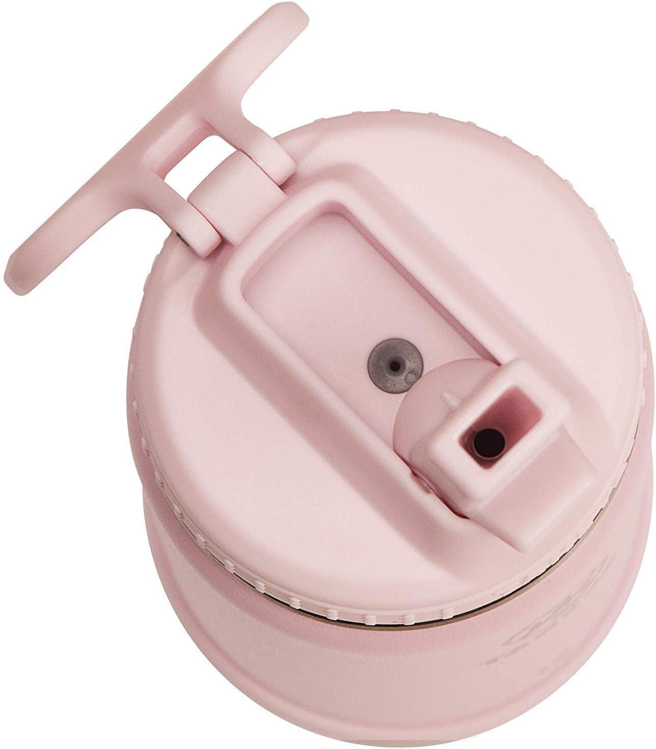 imageTakeya Actives 24 oz Water Bottle with Straw Lid Double Wall Stainless Steel Insulation Dishwasher Safe ampamp BPAFree Removable Bumper BlushBlush